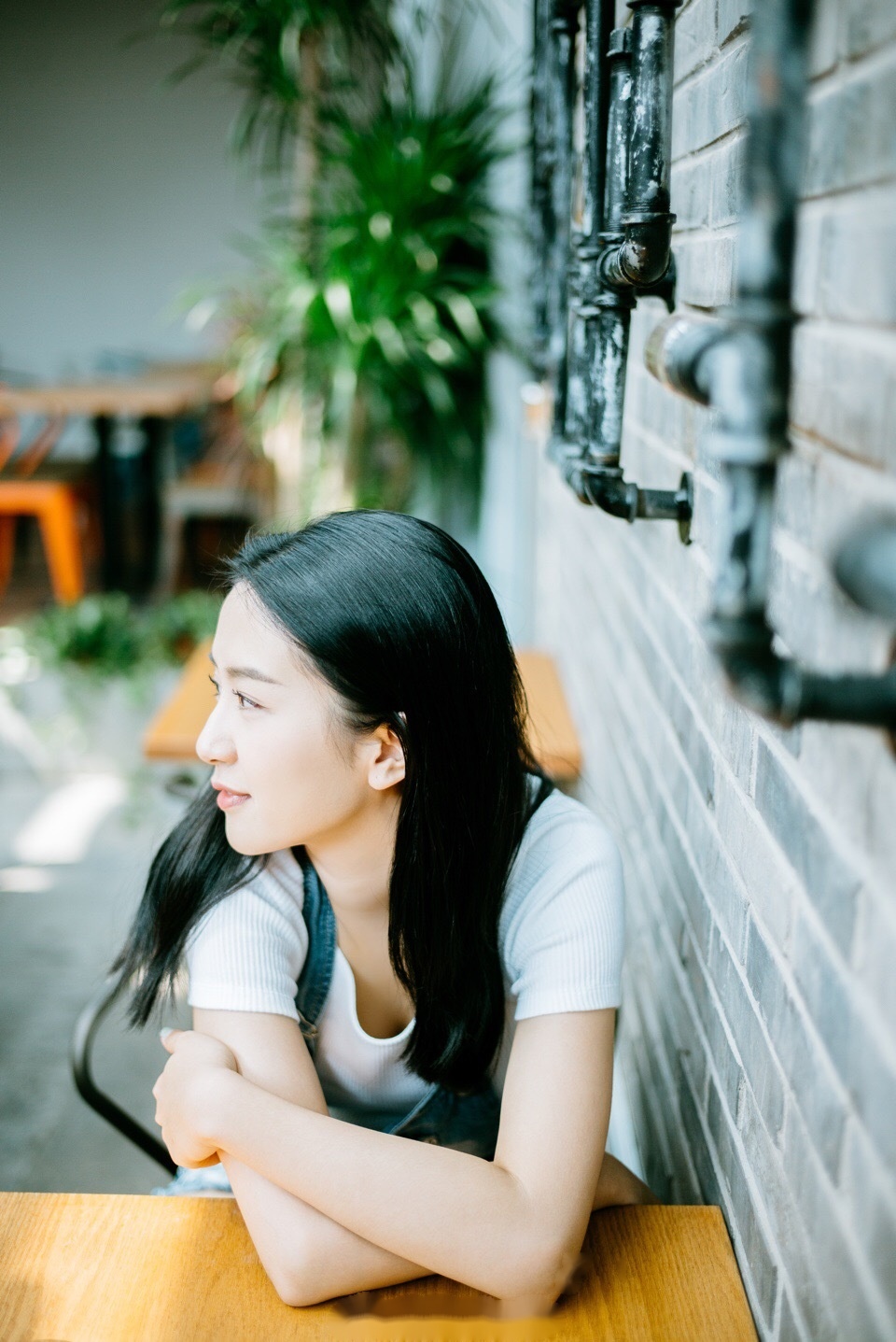 枝繁叶茂的夏天,我似乎缺少一丝雀跃的勇气很想在