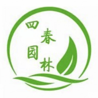 四春中山杉