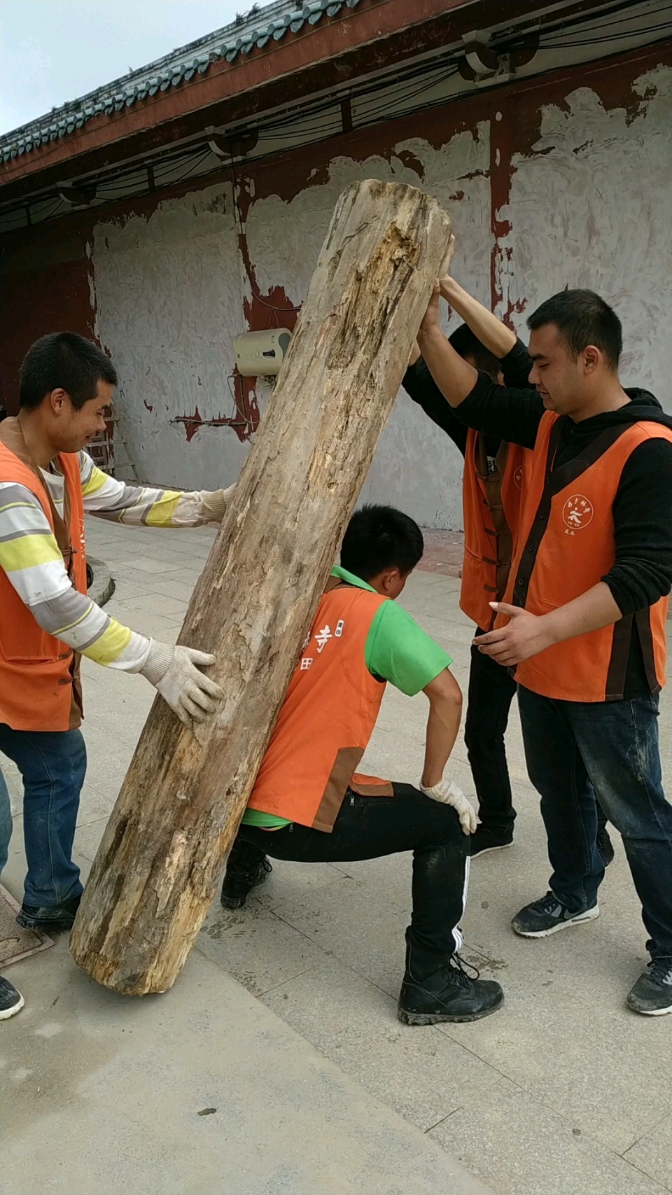 二百斤左右的大木头,直接扛起来走