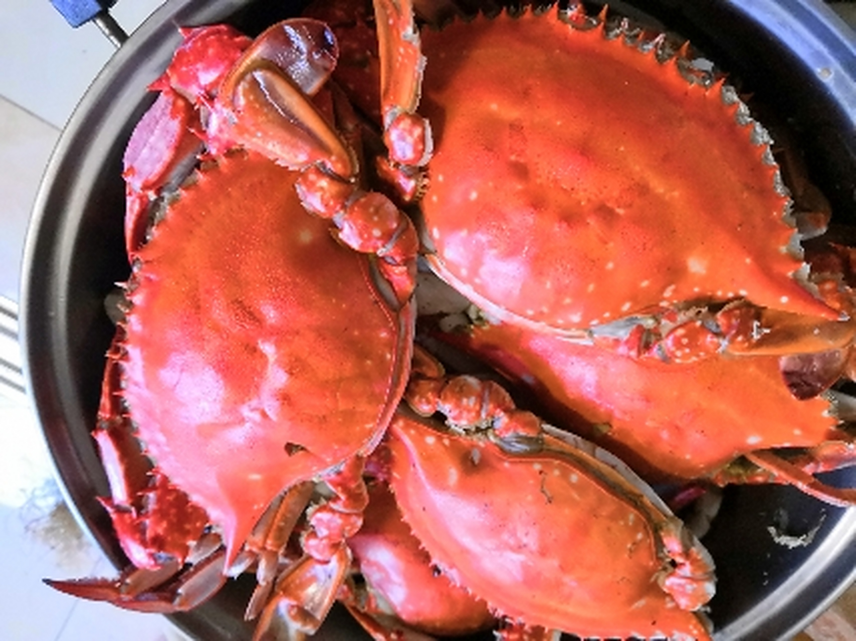 中秋味道#大家中秋节快乐,今天中午吃丹东海鲜大蟹子,也叫大飞蟹