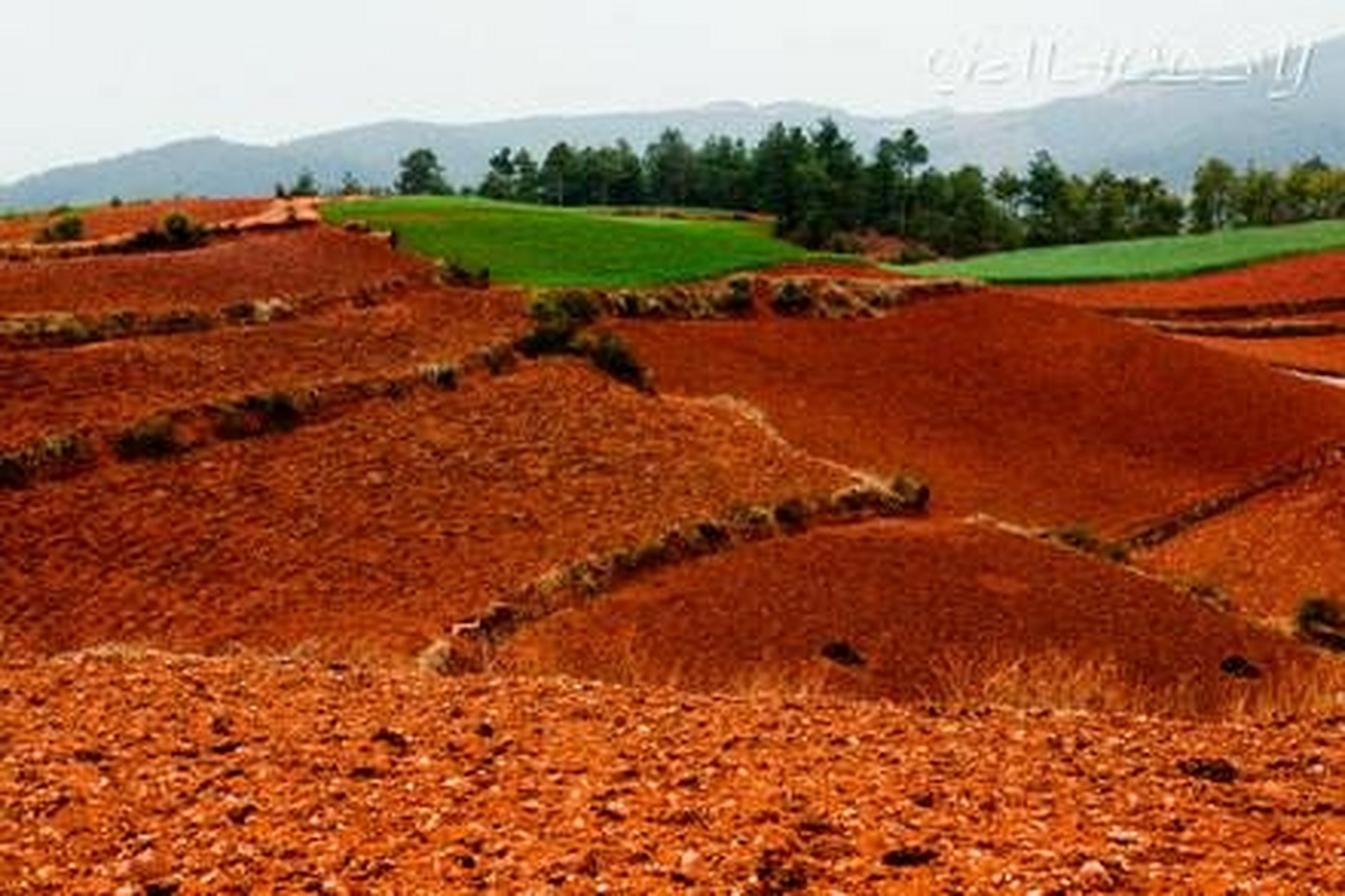 中国南北土壤差异很大,南方地区的红壤,砖红壤,黄壤,黄棕壤,棕壤呈