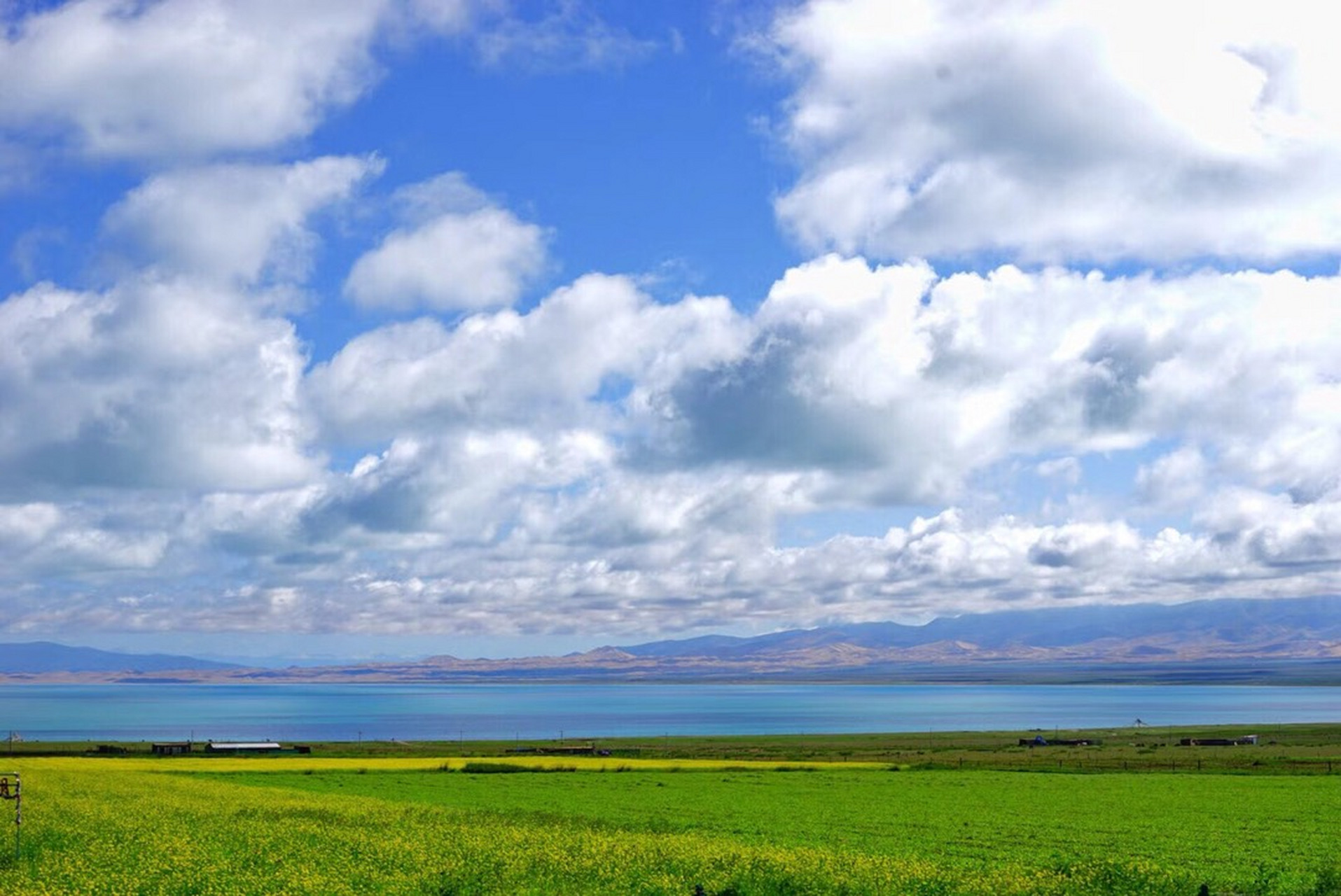 师父说:起心动念皆是能量的消耗.
