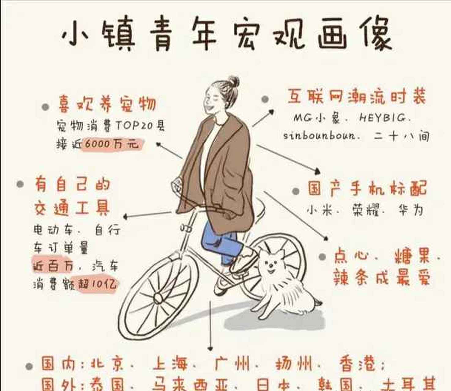 阿里数据体现了小镇青年的消费画像:喜欢养宠物,有自己的交通工具,手