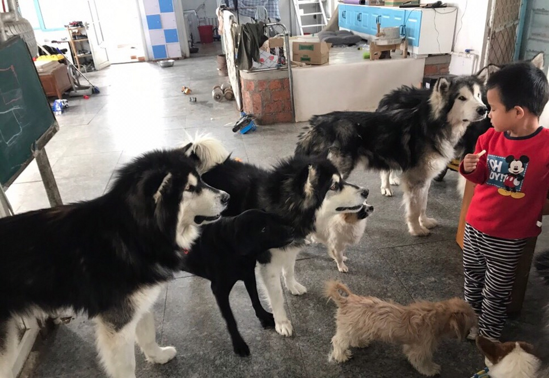 你已经被包围了,放下你手中的东西!