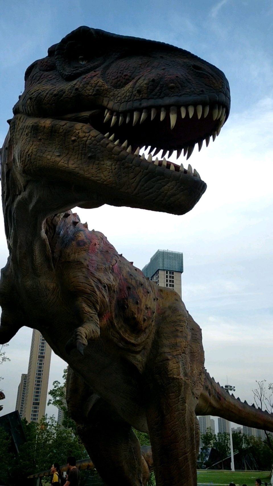 顶部伊春找小妹真实上门服务【薇68195055】_垩 00:49 #小百科#白垩龙