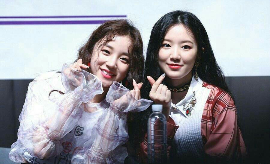 成员纷纷落泪,"感谢培养她们的洪社长,感谢支持她们的粉丝和家人!