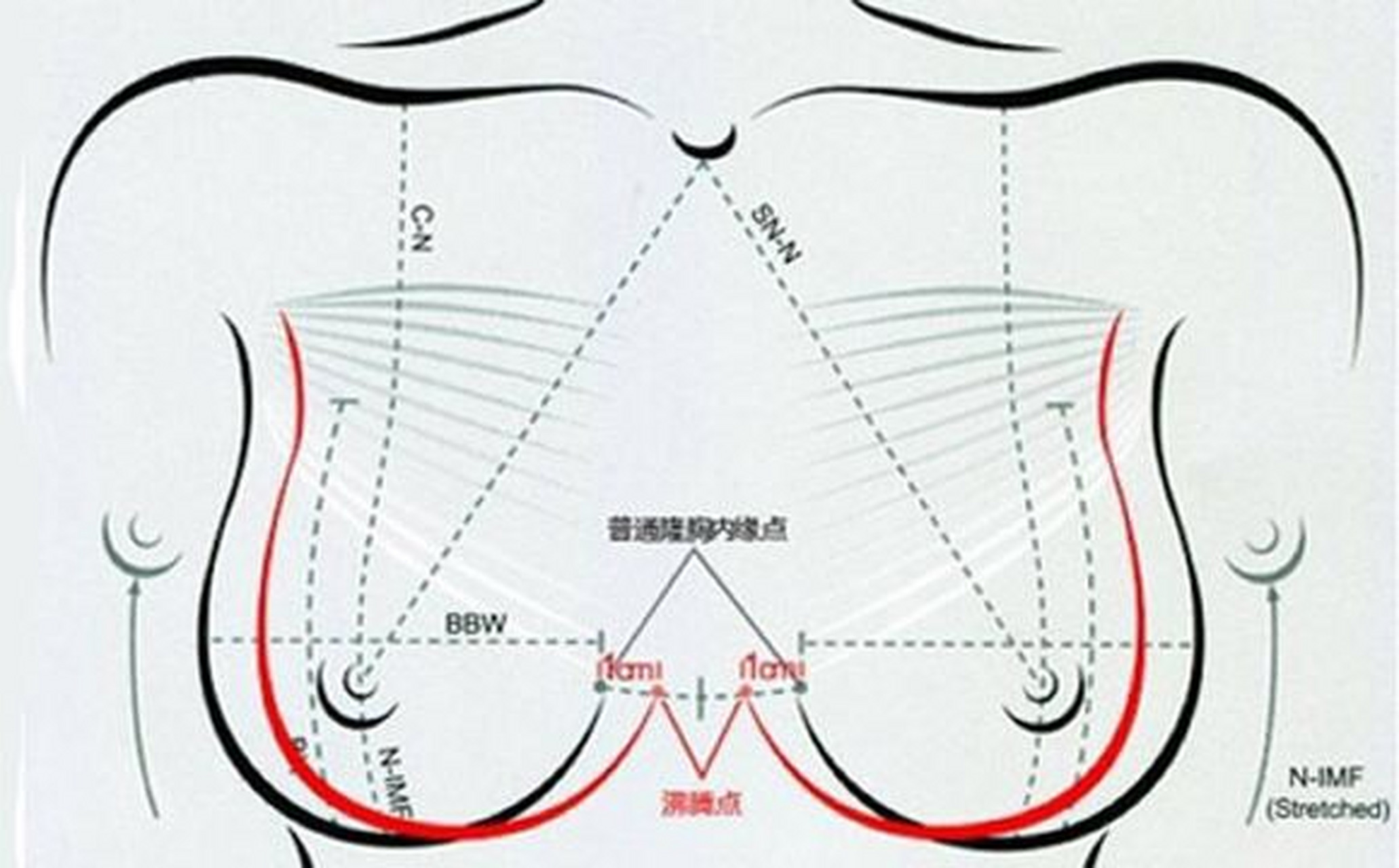 孕妈妈的乳房变化【怀孕初期】乳房急速胀大,会感觉到乳房酸痛,乳晕也