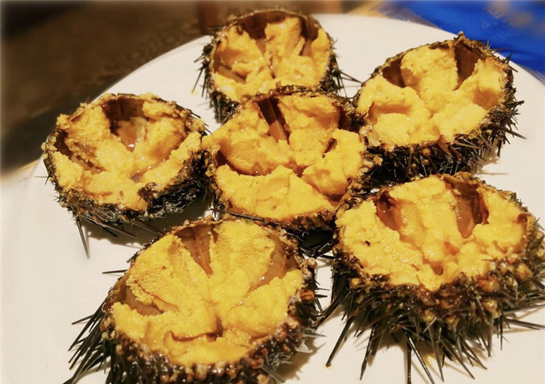 位于东渡的海鼎荟,是厦门三家海鲜姿造中最顶级的,环境最宽敞大气再 