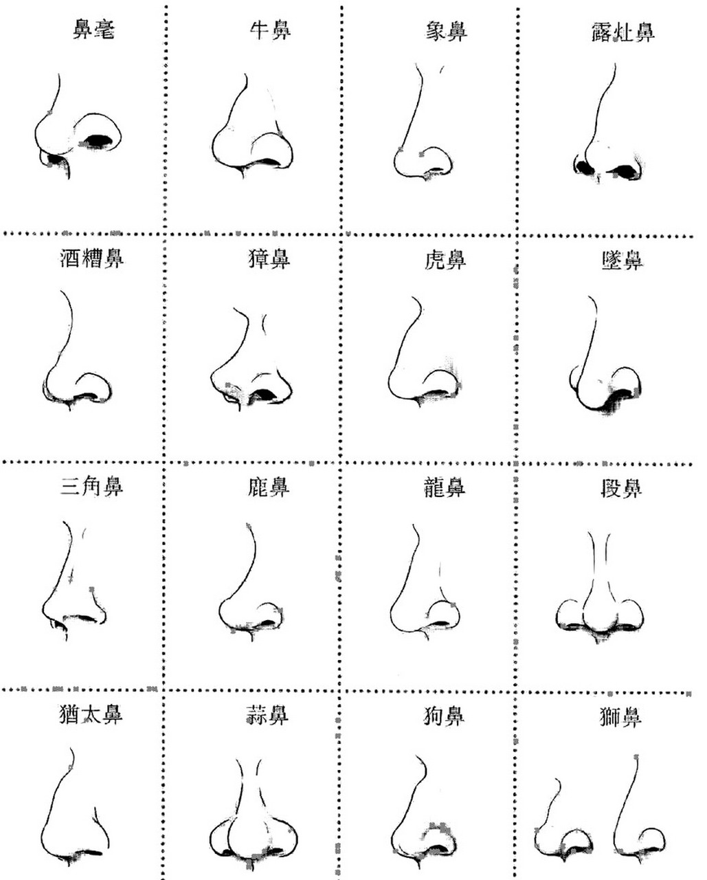 爱画画 一张图带你认识鼻子的种类,快来认领,看看你是属于哪一种