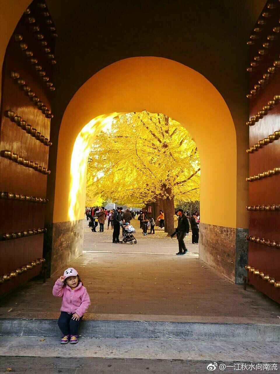 北京的秋天,是一年中最美的季节,天是湛蓝的,风是碧爽的,色彩是斑斓的