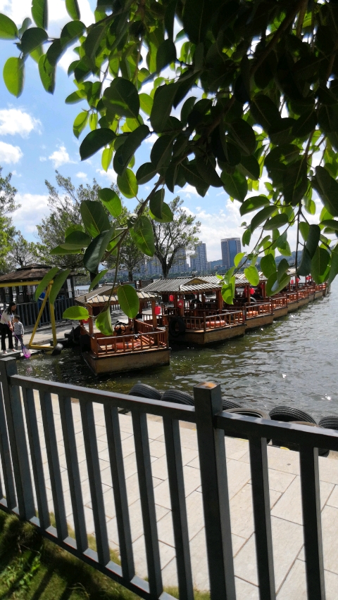 风景很美这是我们云南弥勒的水上公园,有机会来玩9494-度小视